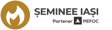 seminee-iasi-logo.png
